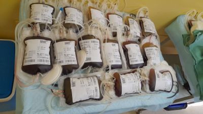Dobrovoľníci darovali v zlatomoraveckej nemocnici viac ako 13 litrov krvi 